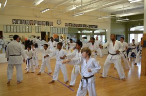 Okinawan Karate Dojo - Ellicott, City Maryland